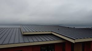 Best Roof Maintenance and Cleaning  in Rangely, CO